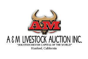 AM Livestock Auction